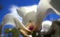 /album/fotogaleria/img-3065-jpg/